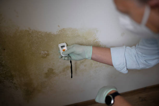 Best Asbestos and Lead Testing During Mold Inspection  in Fulton, MO